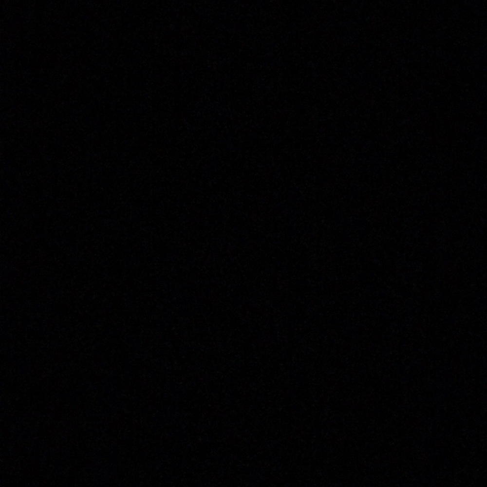 Meet your Posher, Angus